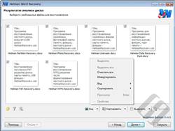 Hetman Word Recovery
