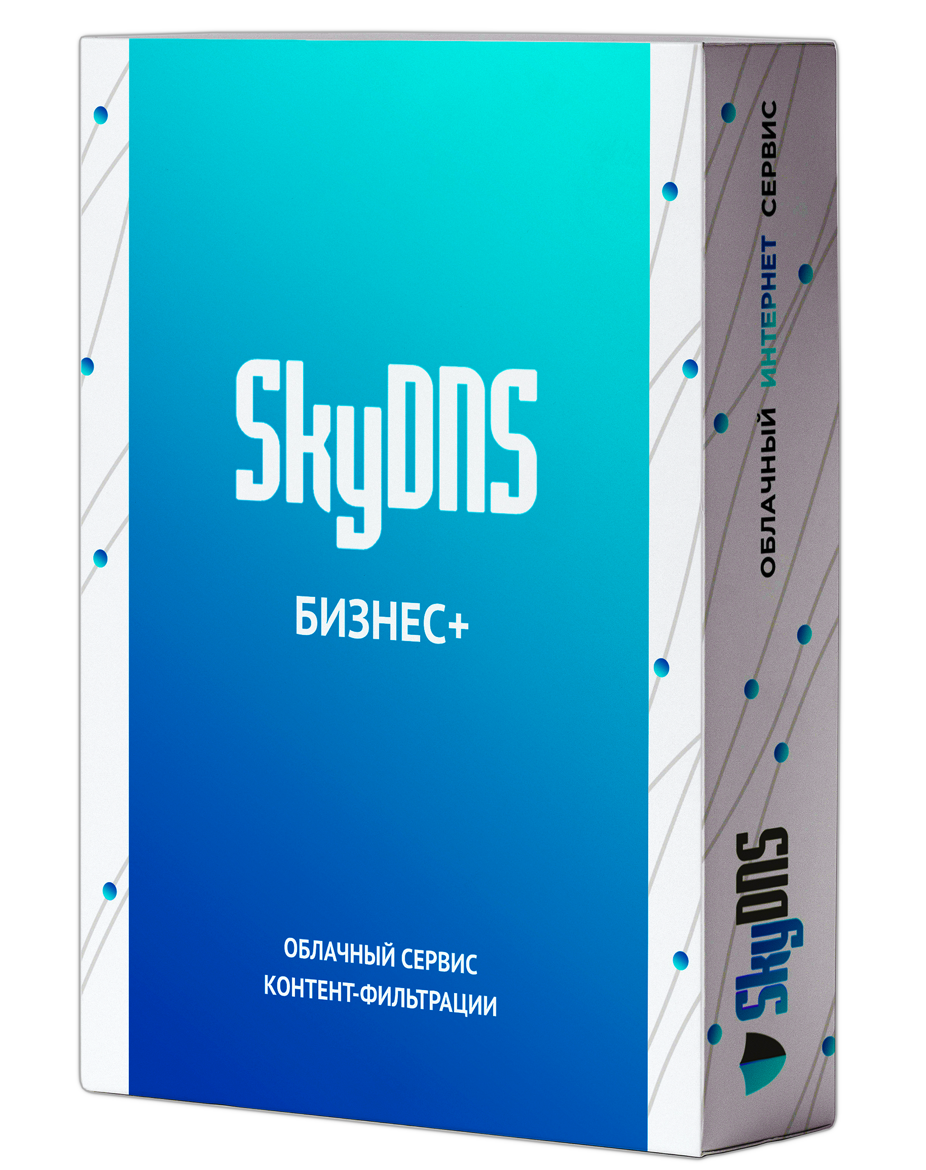 SkyDNS.������+
