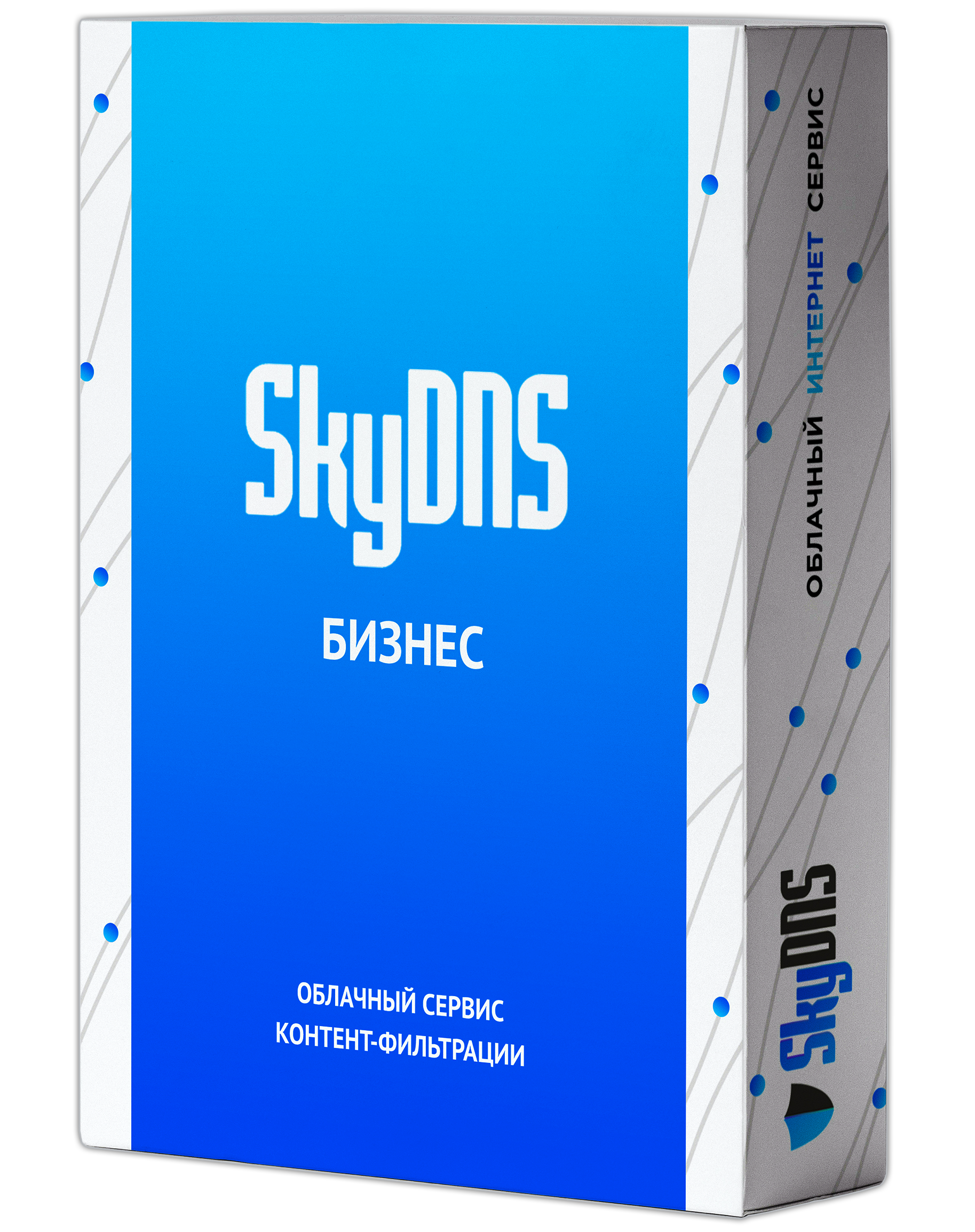 SkyDNS.������