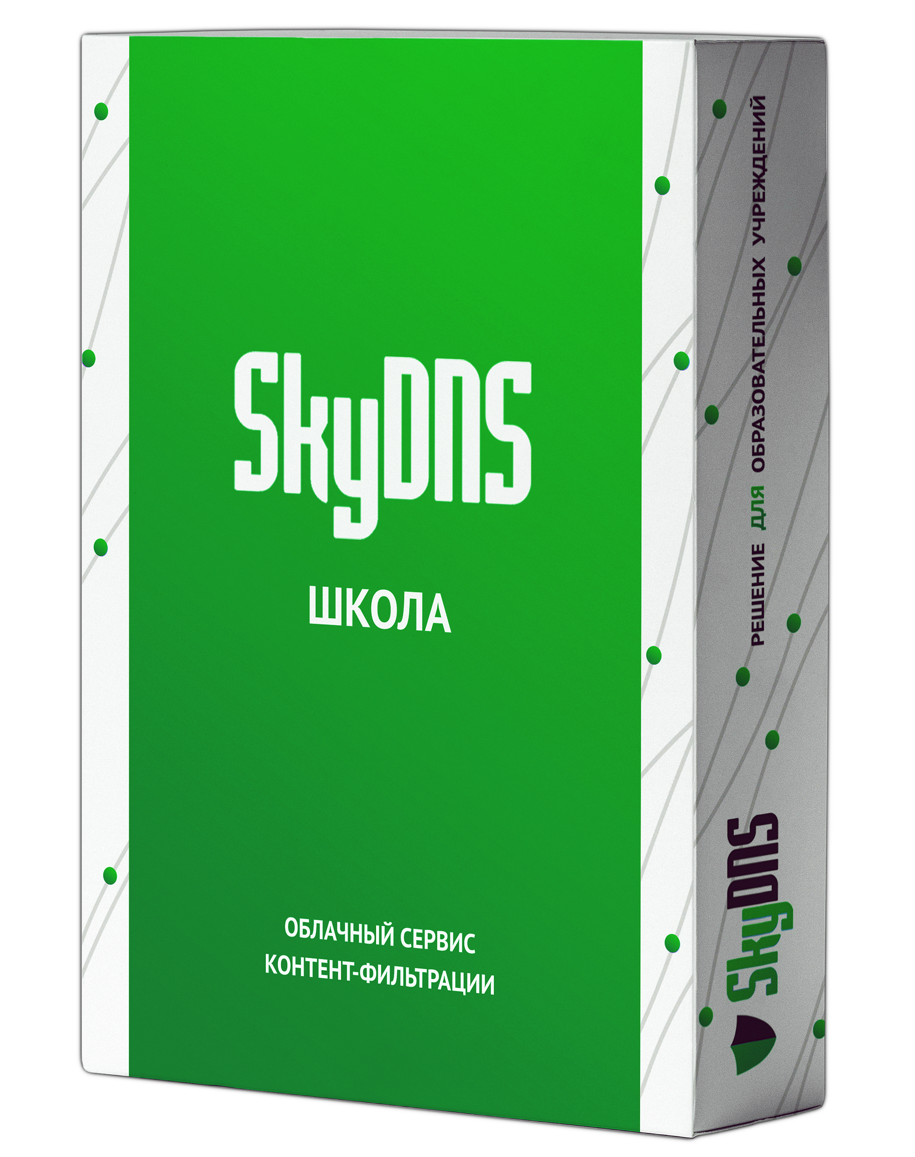 SkyDNS.�����